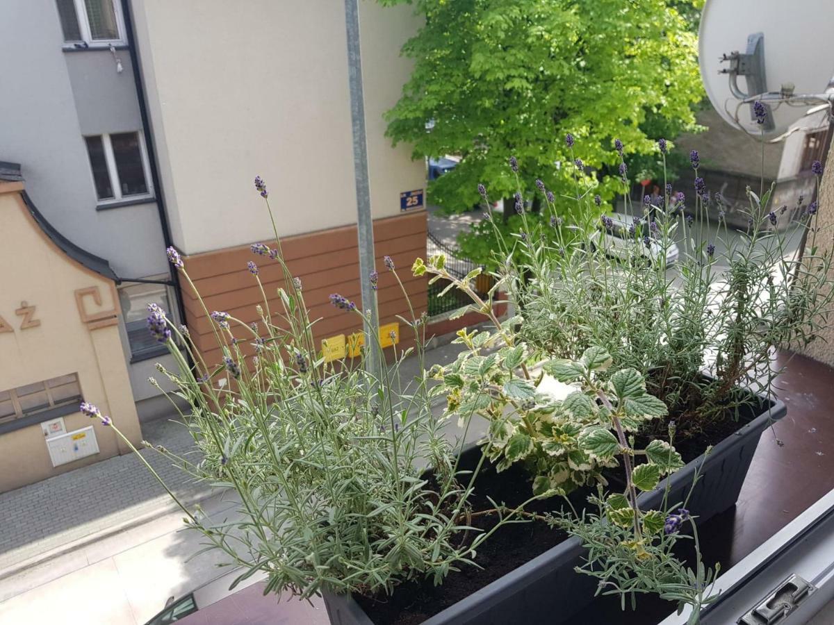 Przytulna I Przestrzenna Garsoniera- Centrum Tarnów Exteriör bild